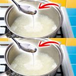 Boiling Orange Peels and Cloves: An Old Tradition of Our Grandmothers