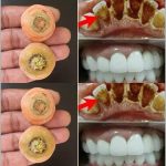 Can’t wait to try this next time! These guys always get me. !