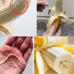 The Easiest Way to Keep Tangerines Fresh All Year!