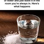 My white is whiter than snow: I bleach things quickly, my husband says I’m the Snow Queen