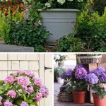 Lattice-Style Pancakes: A Fun Twist on the Classic Breakfast