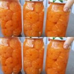 Phloem Bundles: What Are Those Unwanted Strings on Your Banana?