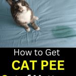 Upside-Down Banana Cake