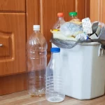 A Special Method to Grow Garlic in Plastic Bottles