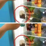 9 Dangerous Glass Stovetop Habits to Avoid for a Safer Kitchen