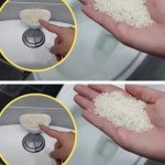 Easy Vegan Broccoli Cheese Balls – Healthy & Delicious Snack Recipe