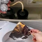 How To Propagate Rosemary: Turn One Plant Into Dozens