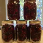 Homemade Ginger Beer Drink Recipe