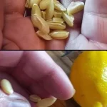 Herb and Garlic Marinated Cheese