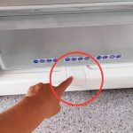 Why You Should Use Bay Leaves in Your Laundry