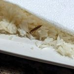 Roast potatoes crisp-wise