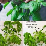 Unclog Your Drains in Less Than 5 Minutes with This Simple Trick