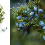 You Won’t Believe This Cake Is Made from Twinkies!