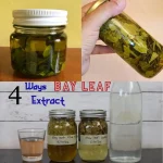 Natural Vitality Boost: Grandpa’s Secret Drink