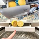 Creamy Baked Rice Pudding with Cinnamon