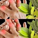 Cheesy Mashed Potato Puffs