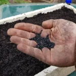 Ham and Cheese Puff Pastry Pinwheels