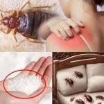 Garlic and Lemon Consumption for Bad Cholesterol and 10 Other Health Problems