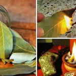 Top 12 Anti-Cancer Foods – Boost Your Health Naturally