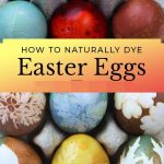 Mixing Garlic and Honey with Cloves : The Secret No One Will Ever Tell You…