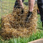 No-Bake Pumpkin Breakfast Bites: So Easy, So Good, and Super Healthy!