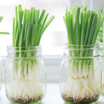 10 Tips To Pick A Pumpkin That Can Last Until Halloween Ends