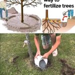 The Ultimate Floor-Cleaning Tip: Keep Floors Clean and Dust-Free