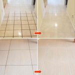 Must-Plant Vegetables, Flowers and Herbs in March for a Thriving Garden