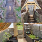 Don’t Discard the Flowers on Your Basil: Here are 8 Ways How to Use Them