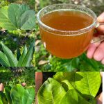 Discover the Benefits of Cloves, Lemon, and Onion