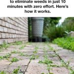 Here’s Why You Should Place Sliced Lemons Beside Your Bed at Night