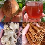 Double the Yield of Cucumbers with Natural Fertilizers: A Gardener’s Guide