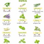 Baked Cottage Cheese Eggs – A Cozy and Nutritious Breakfast