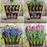 12 brilliant ways to use baking soda in the garden