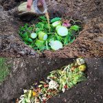 Try Burning a Sprig of Rosemary at Home and Observe the Effects After 10 Minutes