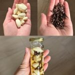 Discover Top Tips to Grow Red Potatoes Like a Pro