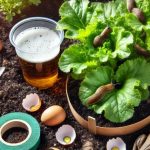 12 brilliant ways to use baking soda in the garden