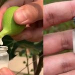 You are doing it all wrong. Here’s the right way to drink lemon water