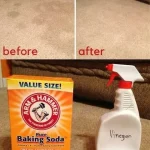 Impossible Coconut Custard Pie – A Magical Dessert That Makes Its Own Crust!