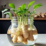 Chicken Broccoli Stuffed Baked Potato