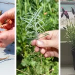 She knew what she was doing