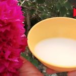 10 Cunning Garden Hacks Every Gardener Should Know