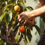 Darn, I didn’t guess right!