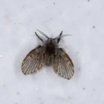 Did You Know? Salt Can Help Relieve Cramps, Arthritis, Tingling, Osteoarthritis & Inflammation!