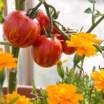 That completely flew under my radar