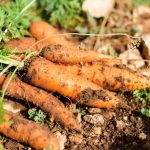 Strawberries and Baking Soda: A Natural Teeth Whitening Remedy
