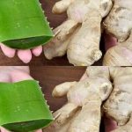 The Secret of the Small Button on Your Seat Belt: An Essential Car Feature