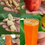 How to Prune Tomatoes for Maximum Yield and Plant Health