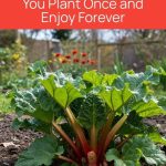 You Should Ditch the Top Sheet For Good. Here’s Why