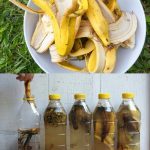 Stop Throwing Money on Pest Poisons! Use Toothpaste Instead!